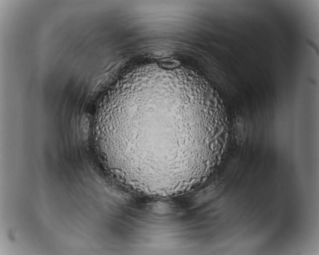 X0000103430412200809261735