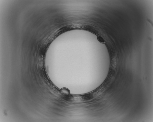 X0000103430413200809261735