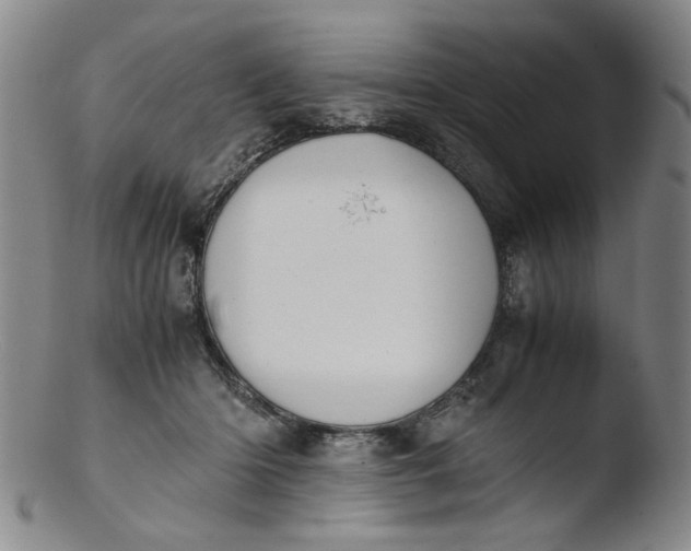 X0000103430414200809261735