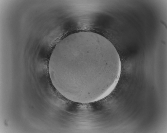 X0000103430415200809261735