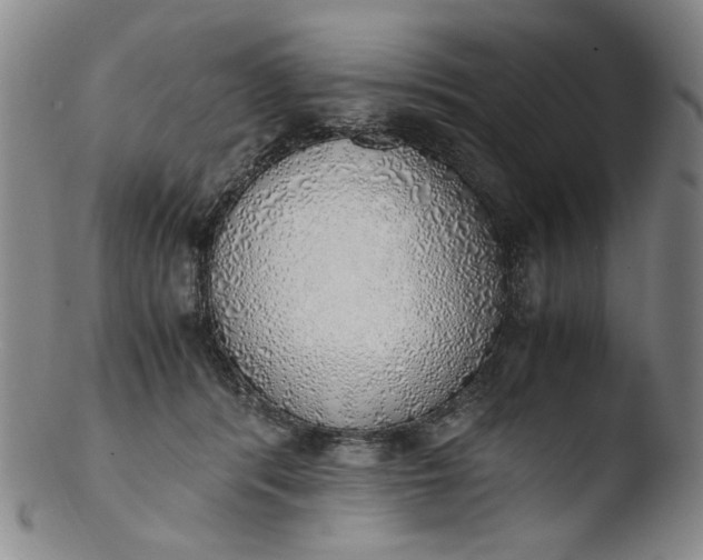 X0000103430416200809261735