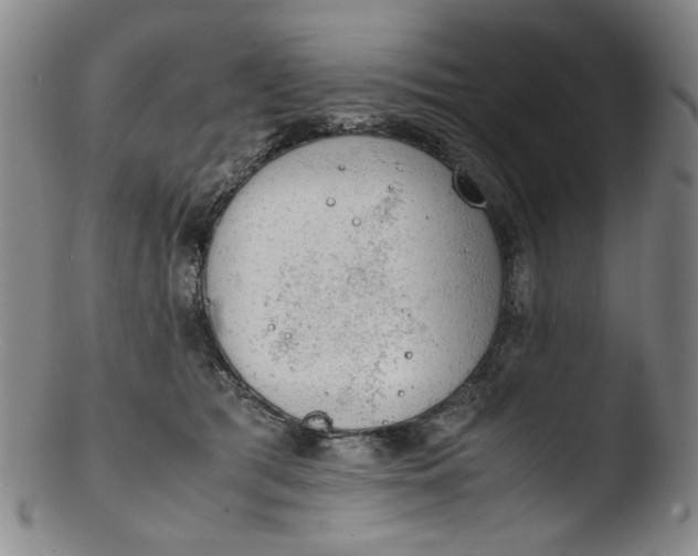 X0000103430417200809261735