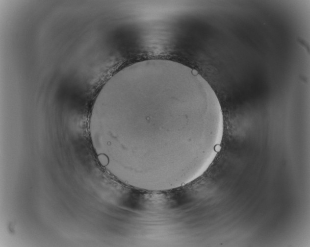 X0000103430419200809261735