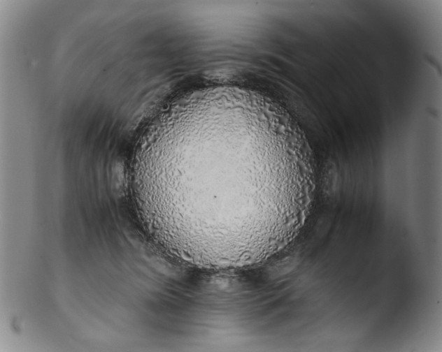 X0000103430420200809261735