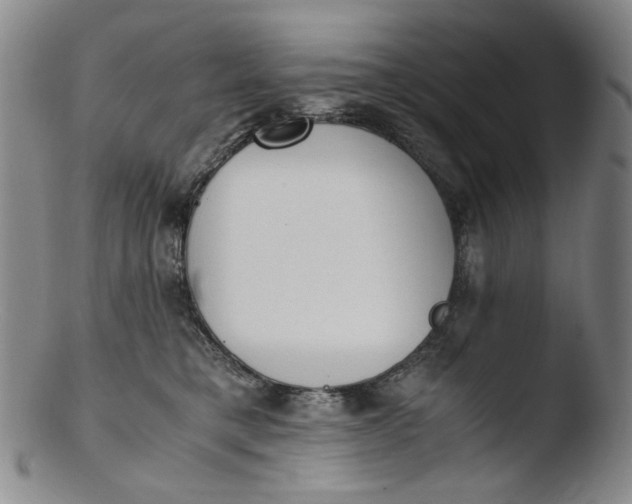 X0000103430421200809261735