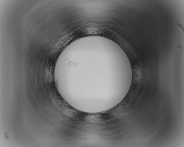 X0000103430422200809261735