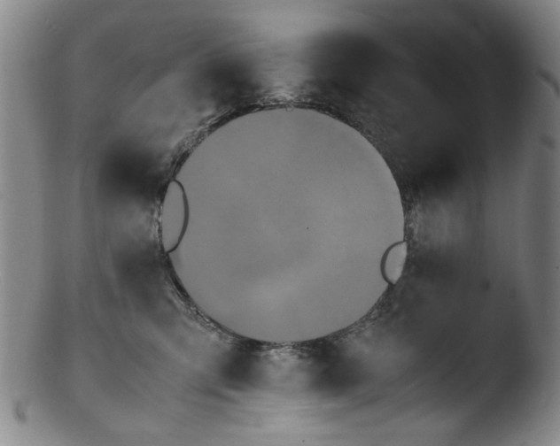 X0000103430423200809261735