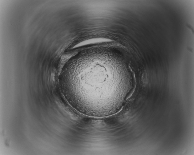 X0000103430424200809261735