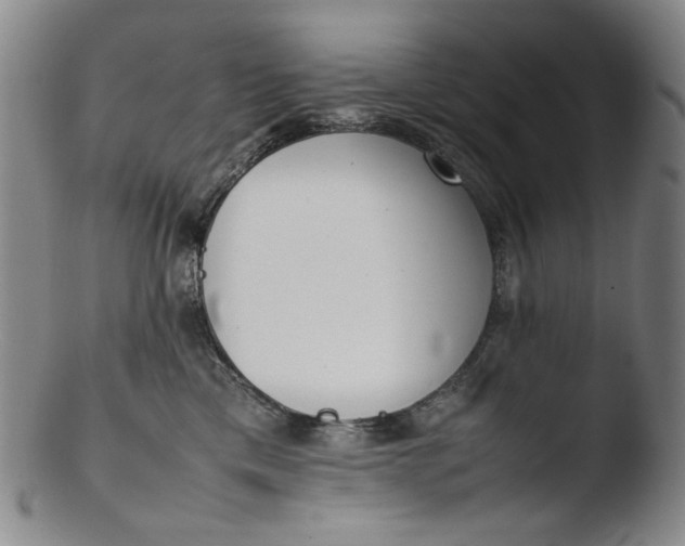 X0000103430425200809261735