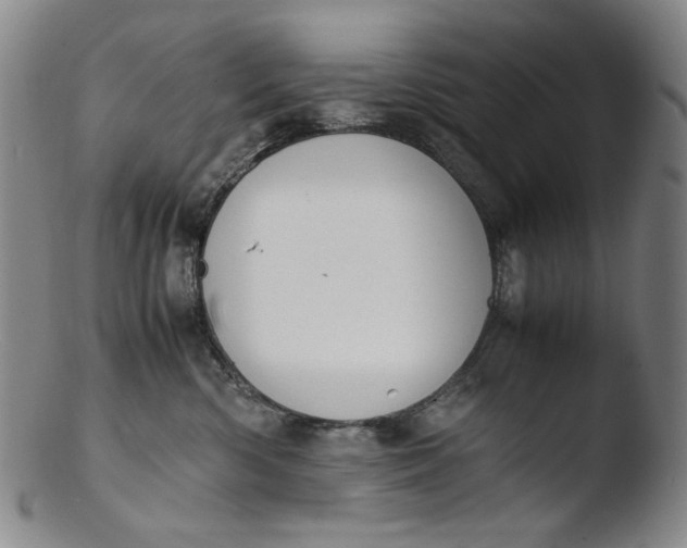 X0000103430426200809261735