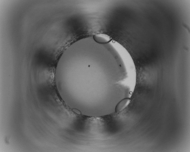 X0000103430427200809261735