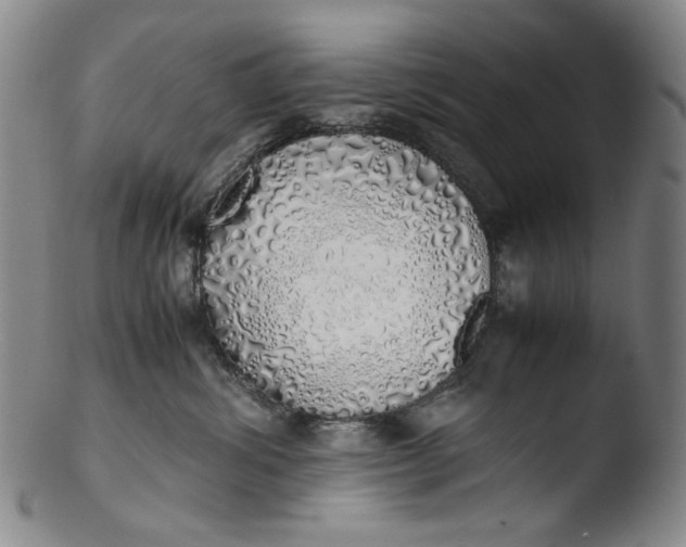 X0000103430428200809261735