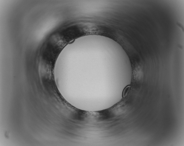 X0000103430429200809261735