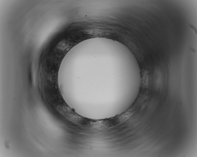 X0000103430430200809261735