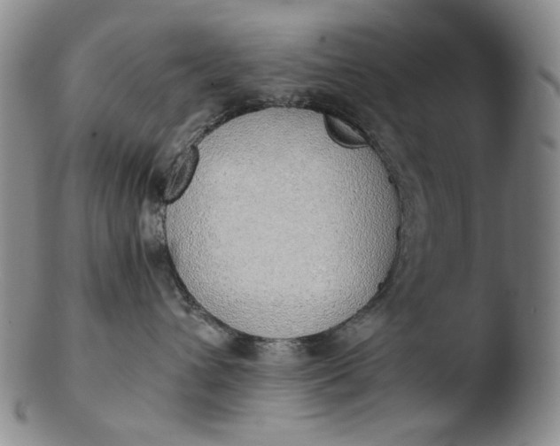 X0000103430432200809261735