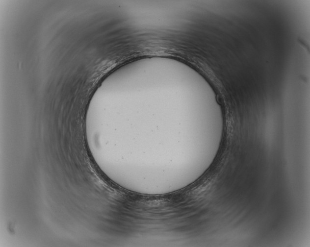 X0000103430433200809261734