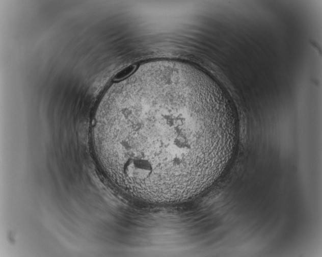 X0000103430434200809261734