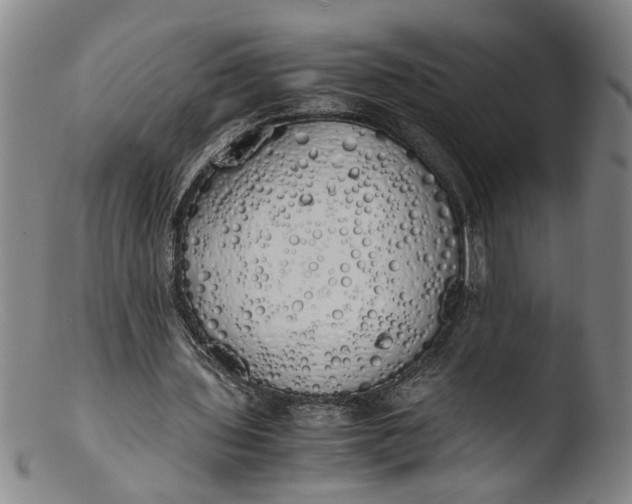 X0000103430435200809261734