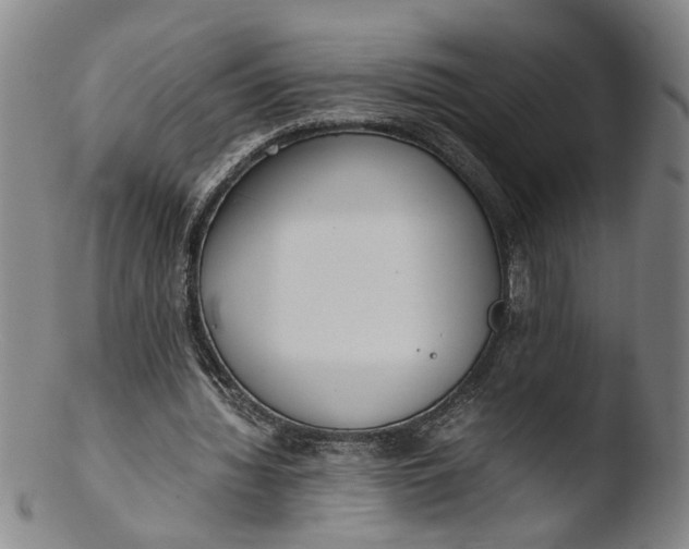 X0000103430436200809261734