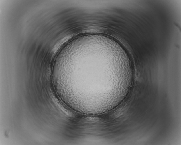 X0000103430437200809261734