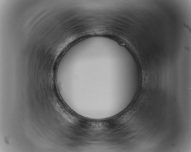 X0000103430439200809261734