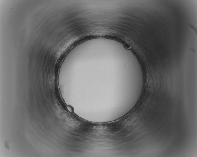 X0000103430440200809261734