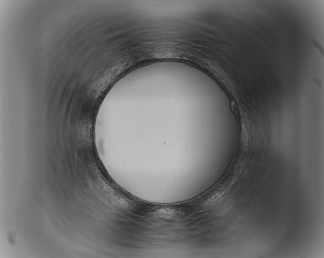 X0000103430441200809261734