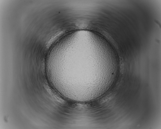 X0000103430442200809261734