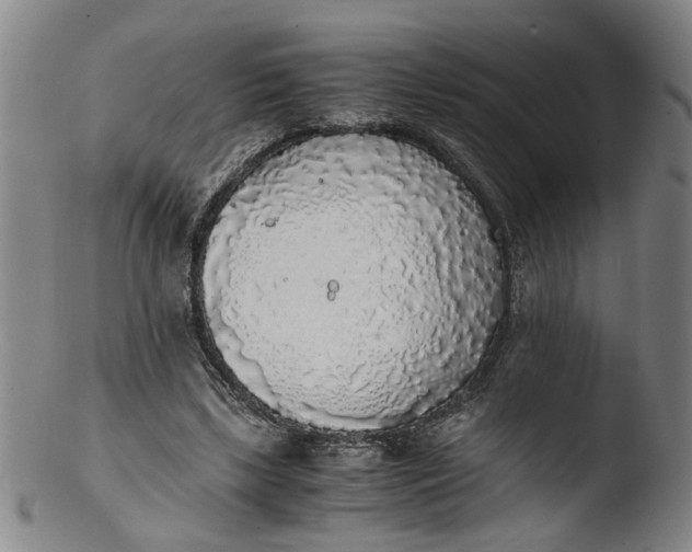 X0000103430443200809261734