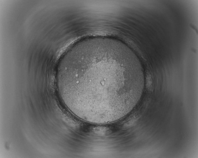 X0000103430444200809261734