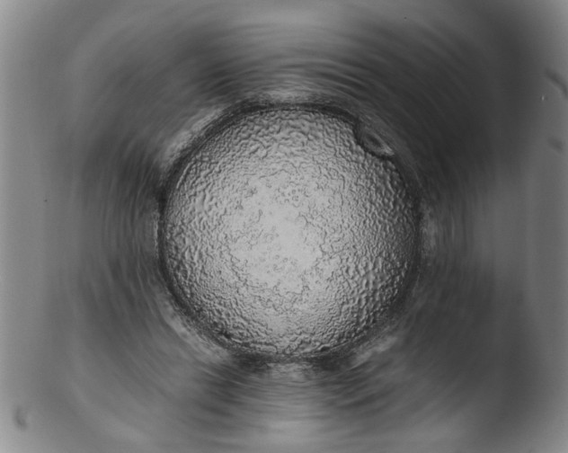 X0000103430446200809261734