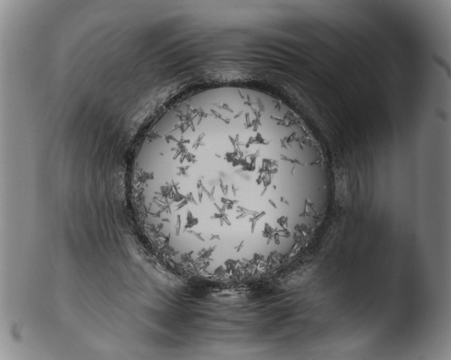 X0000103430447200809261734