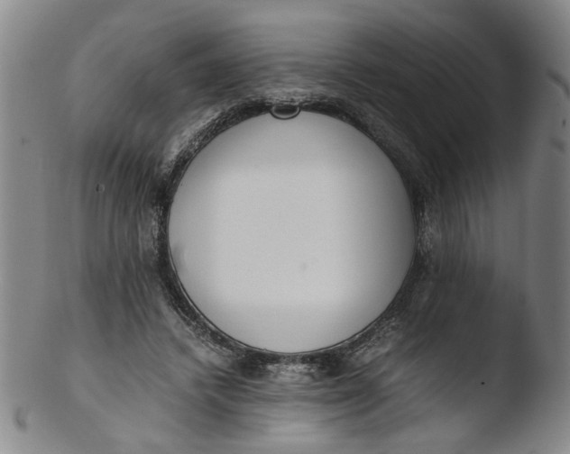 X0000103430448200809261734