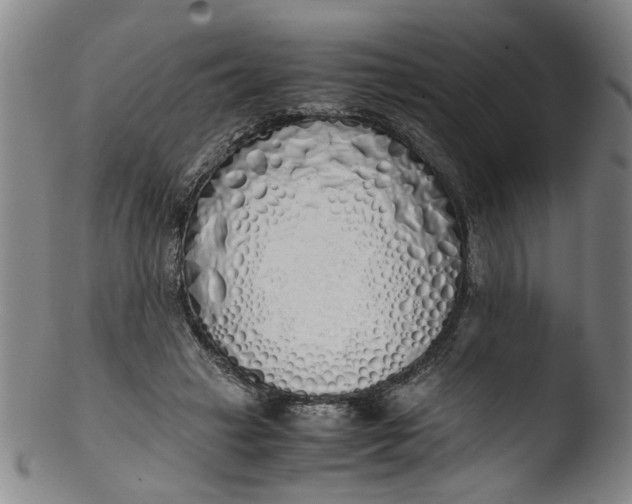 X0000103430449200809261735