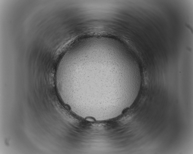 X0000103430450200809261735