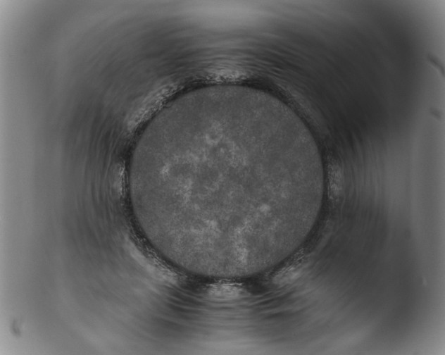 X0000103430451200809261735