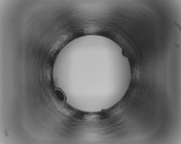 X0000103430452200809261735