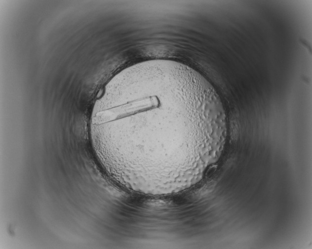 X0000103430453200809261735