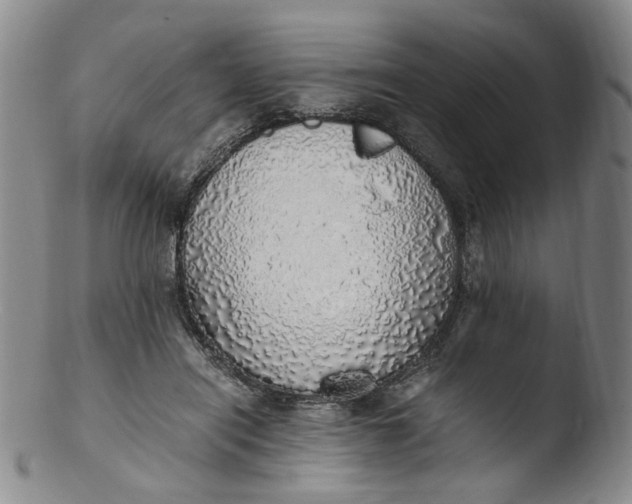 X0000103430454200809261735