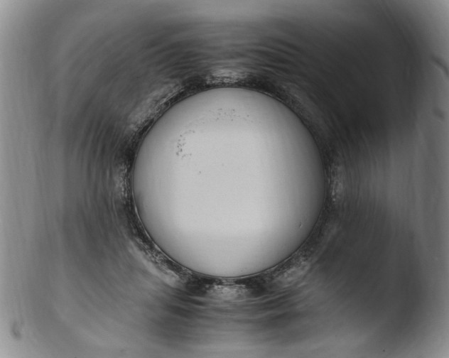 X0000103430455200809261735