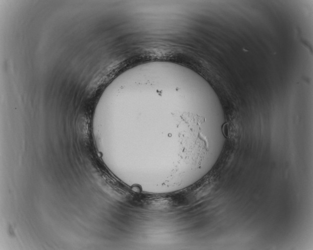 X0000103430456200809261735