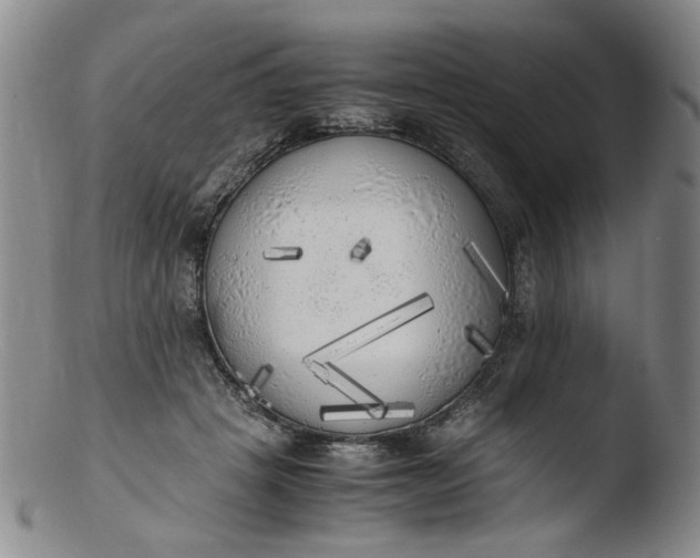 X0000103430457200809261735