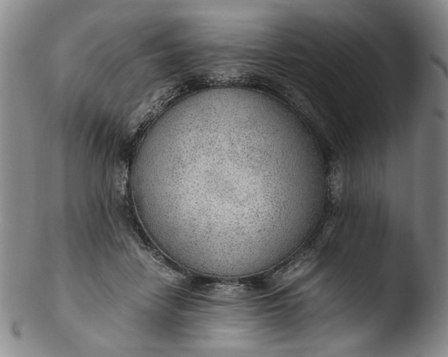 X0000103430458200809261735