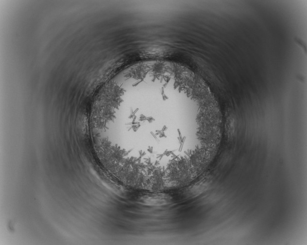 X0000103430459200809261735