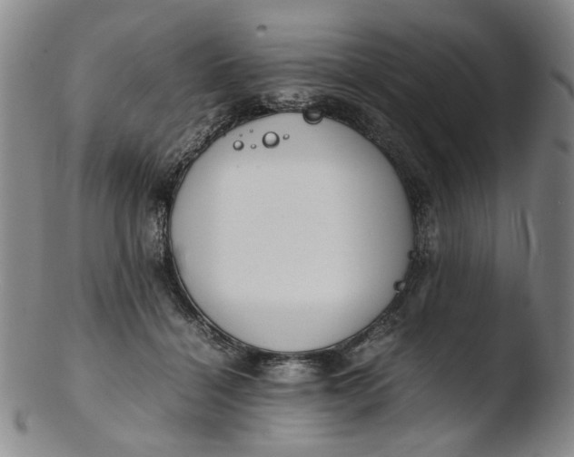 X0000103430460200809261735