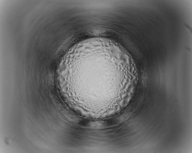 X0000103430461200809261735