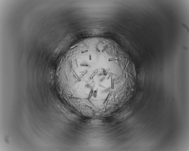 X0000103430462200809261735