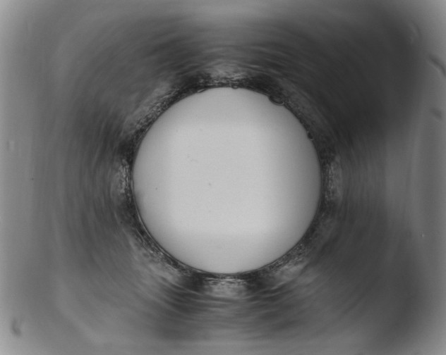 X0000103430463200809261735