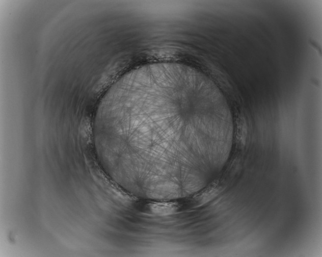 X0000103430465200809261735