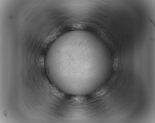 X0000103430466200809261735